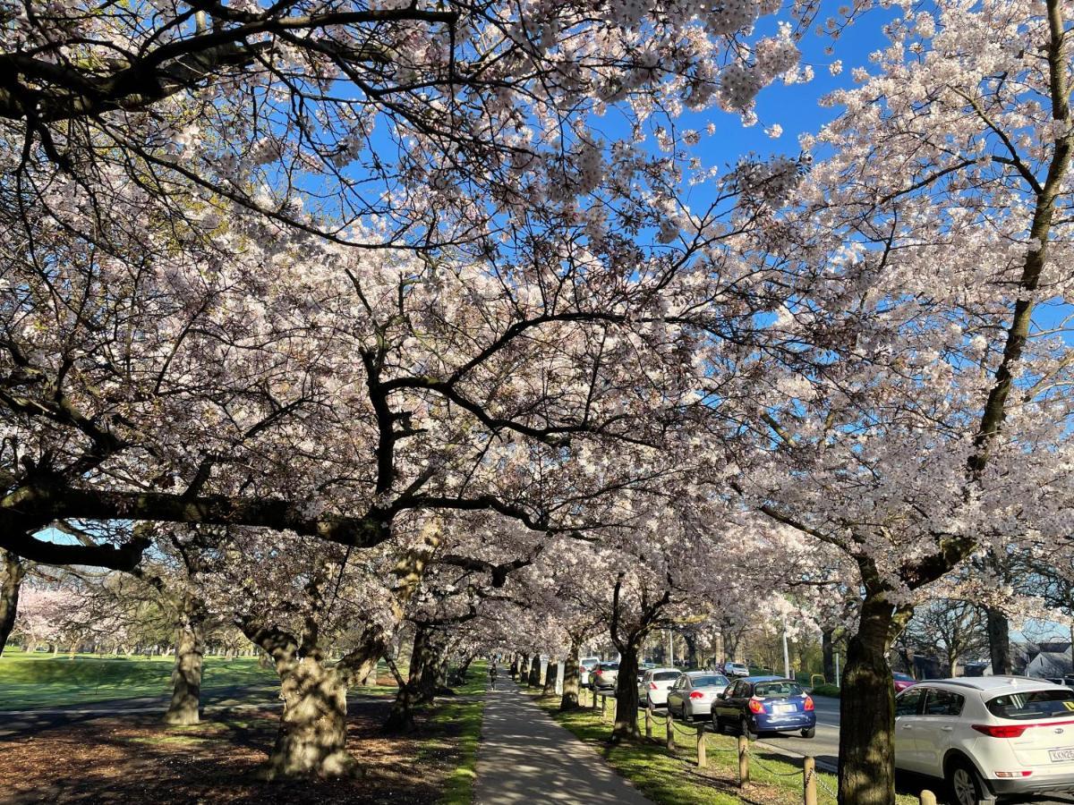 Central Park Motor Lodge Christchurch Bagian luar foto