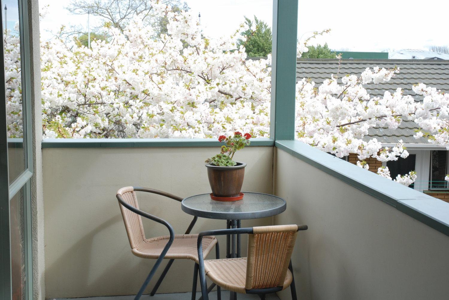 Central Park Motor Lodge Christchurch Bagian luar foto